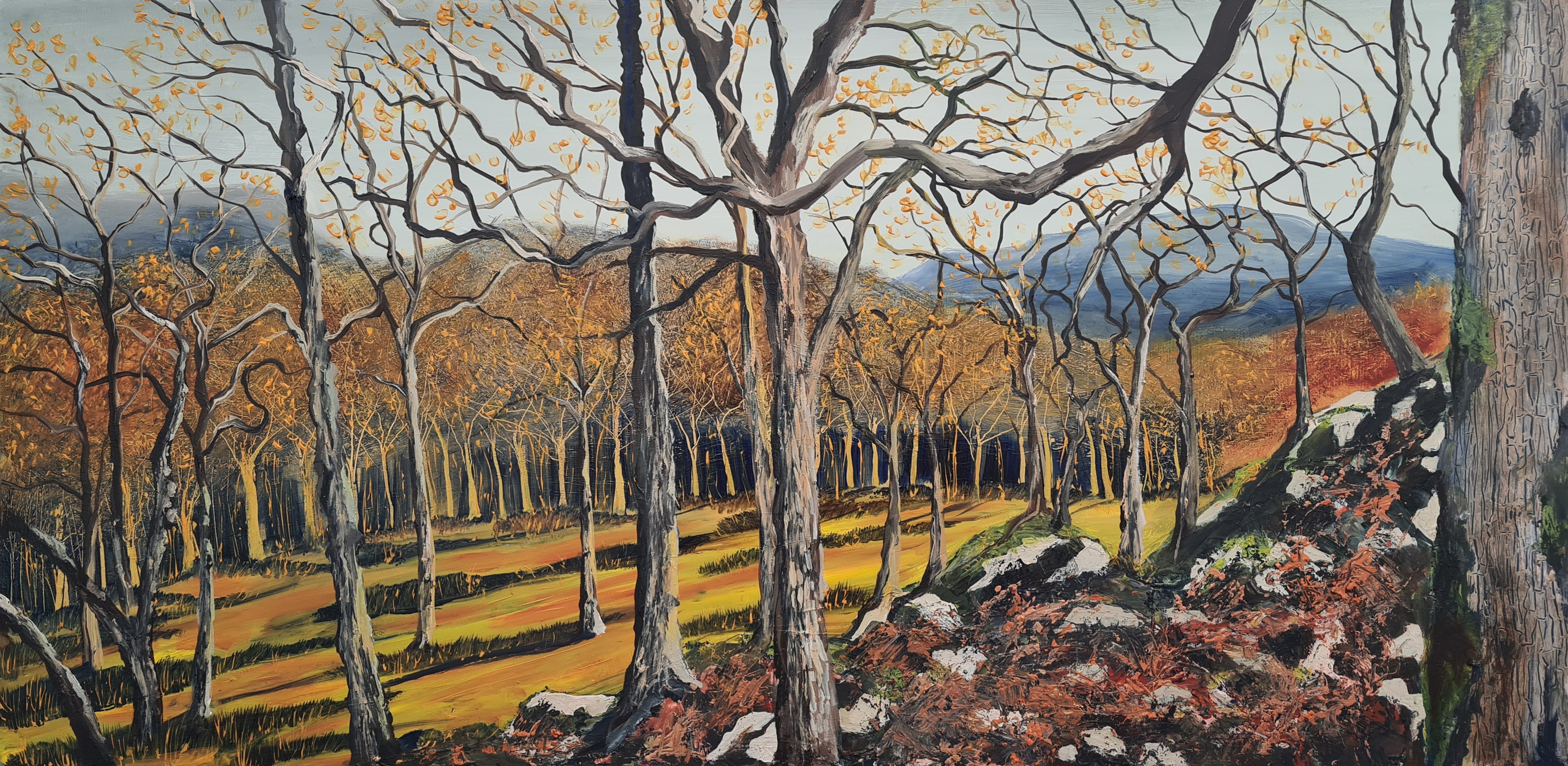 Oak Woodland Pasture - Beasdale