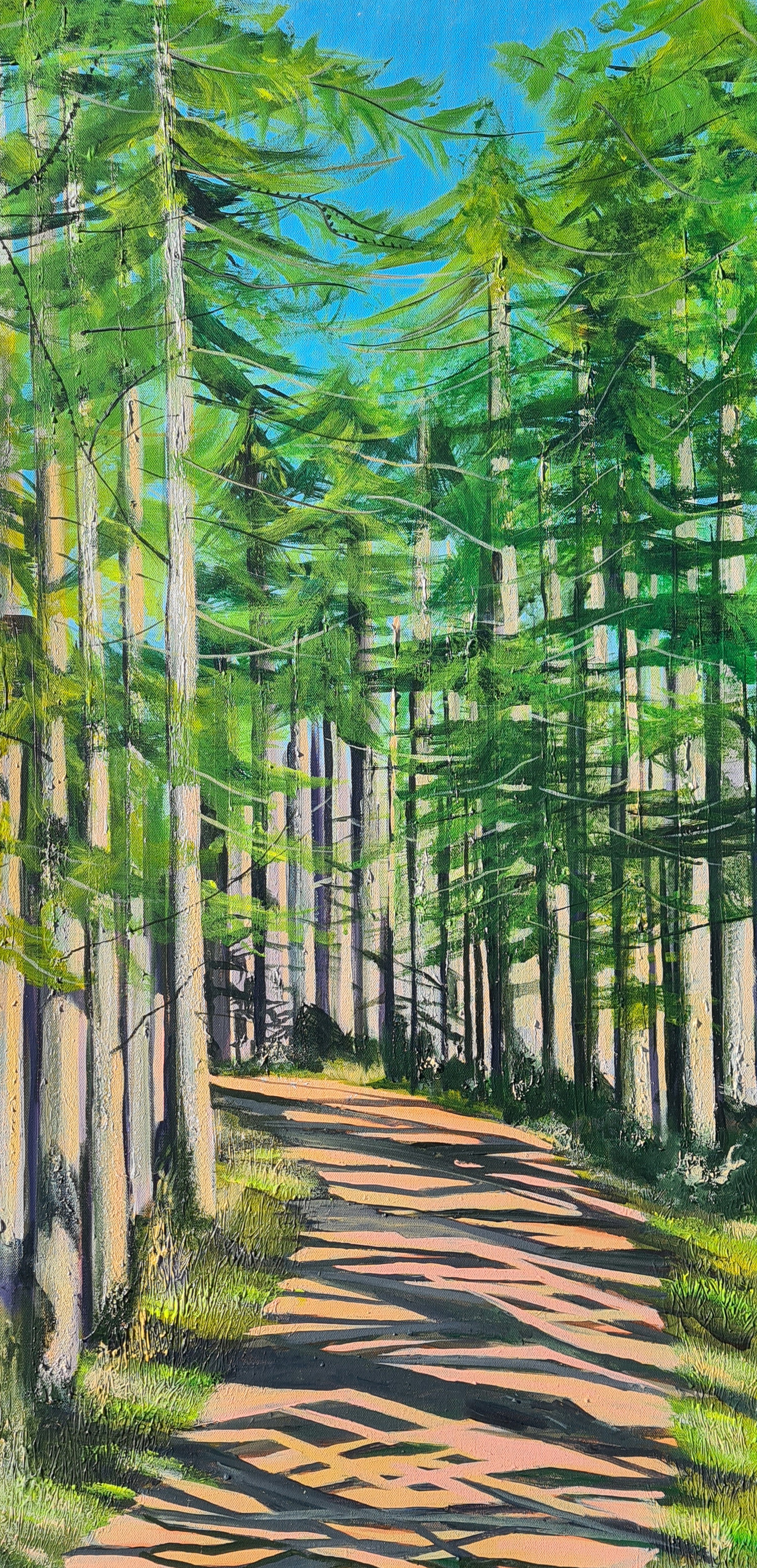 Sunlit Spring Larch Cantray Wood