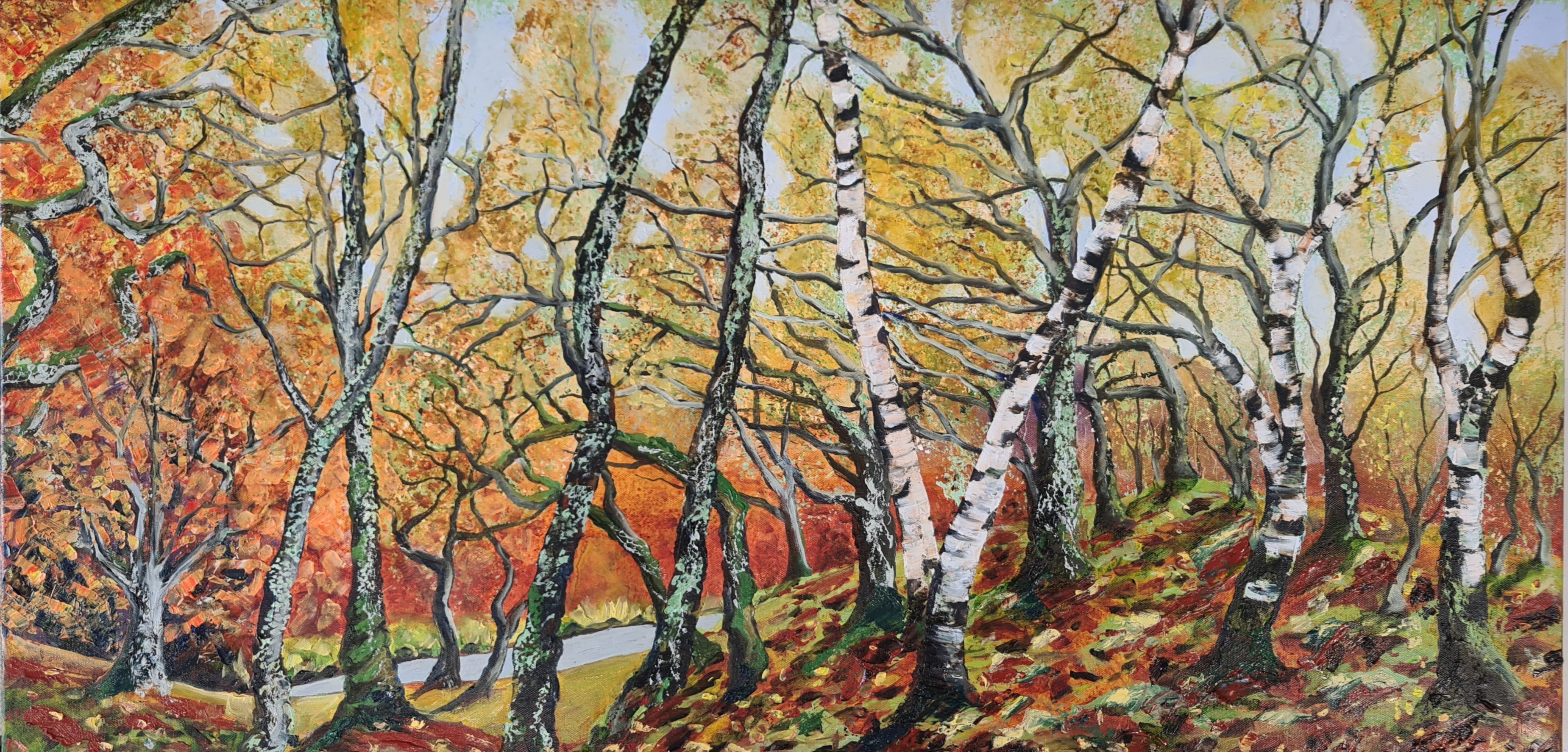 Atlantic Oak-Birch Woodland - Kentra Bay - Moidart