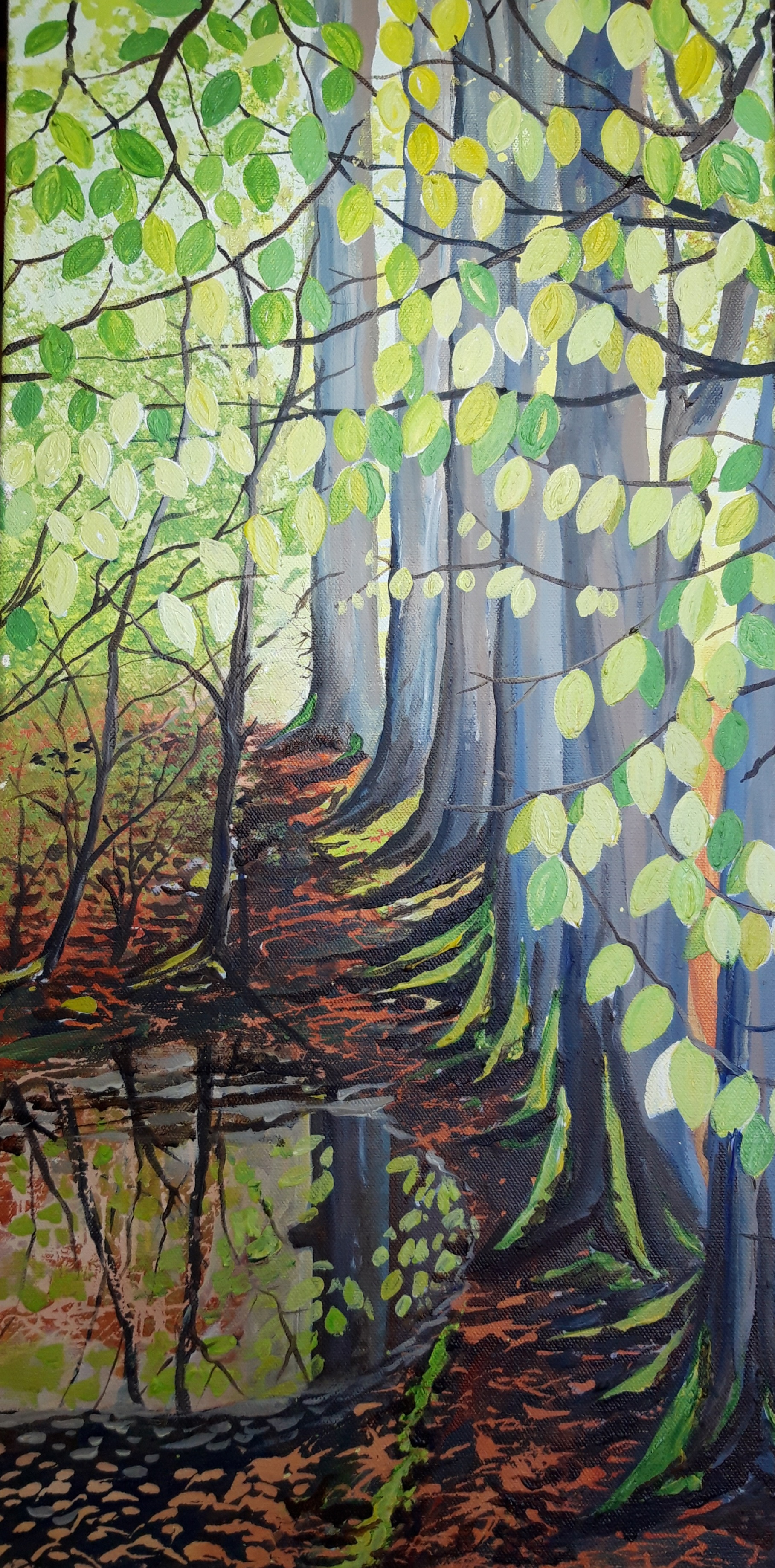 Reflection Under Spring Beech - Chapelton Woods