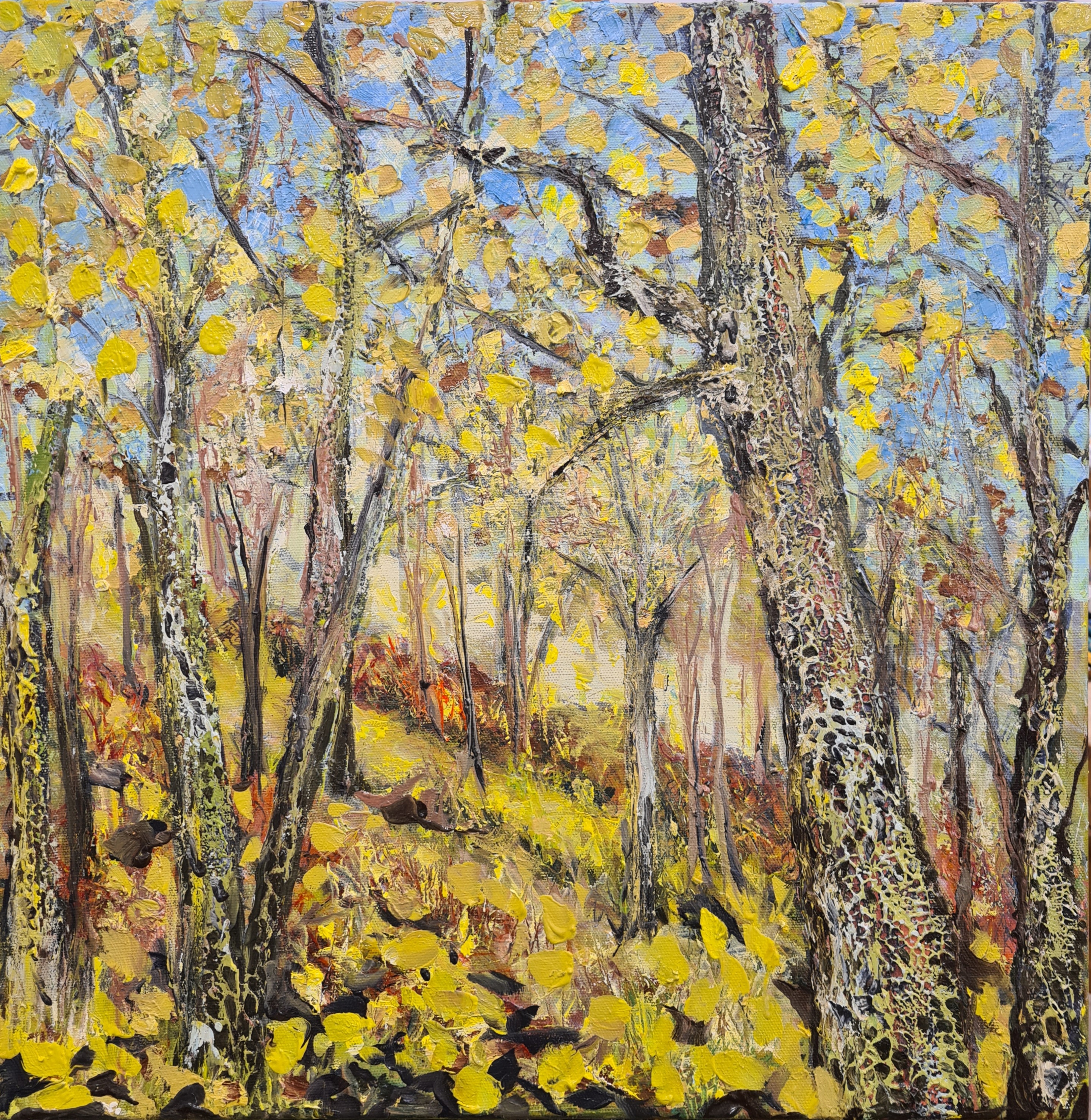 Tumbled Leaves - Moisture Laden Brightening Day - Above Loch Vaa