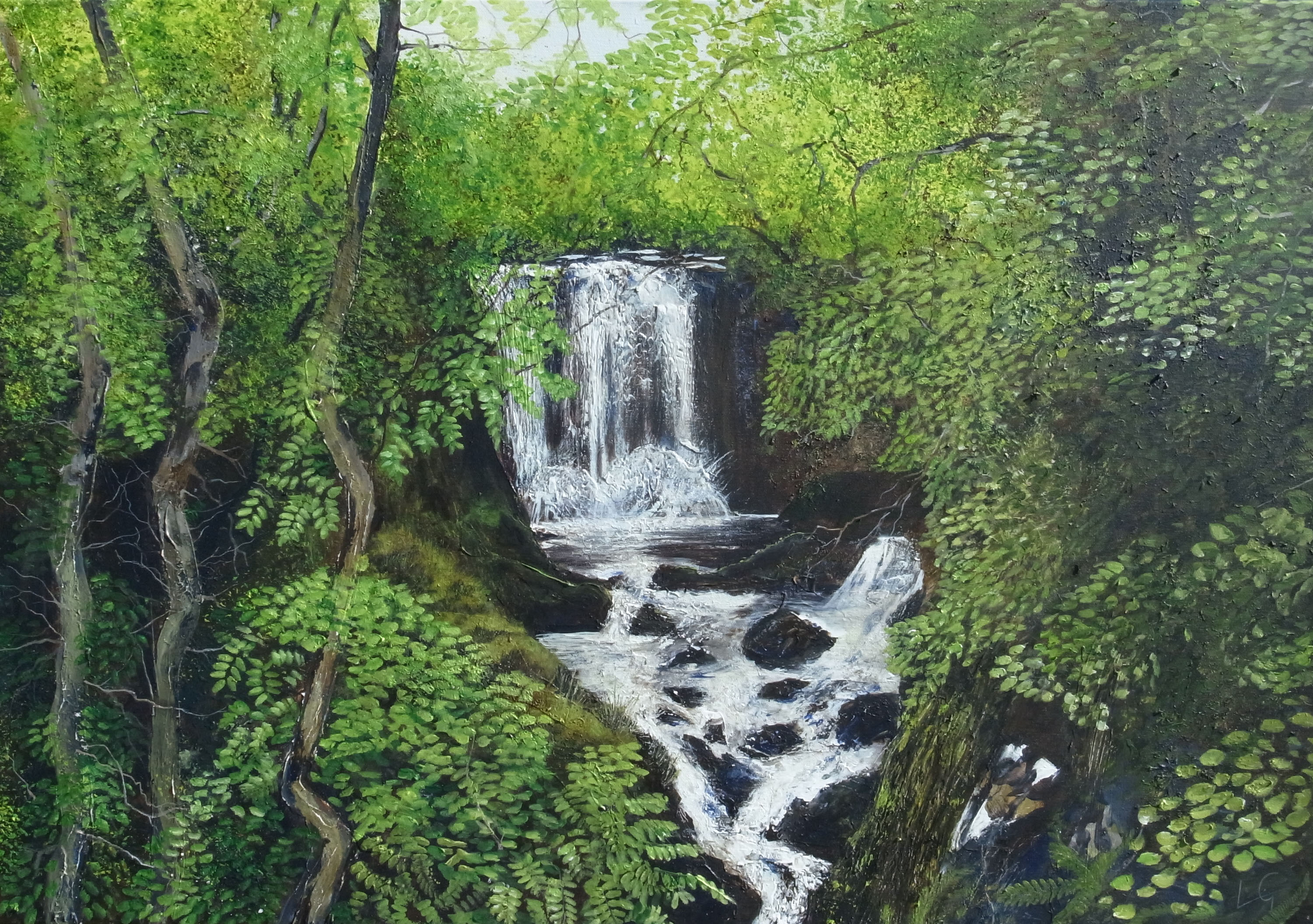 Secret Eden - Ardnamurchan - Woodland Falls