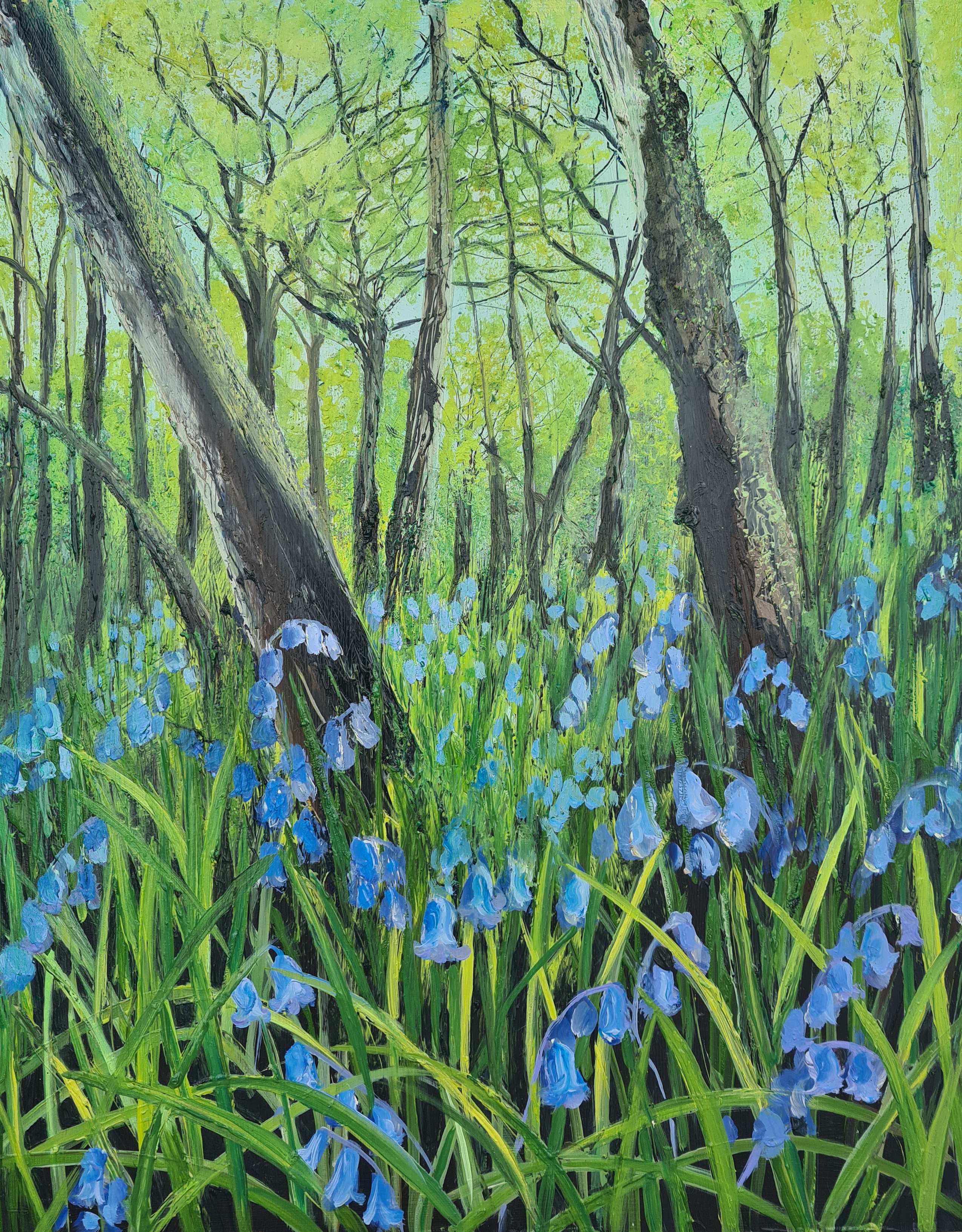Spring Gem - Bluebells