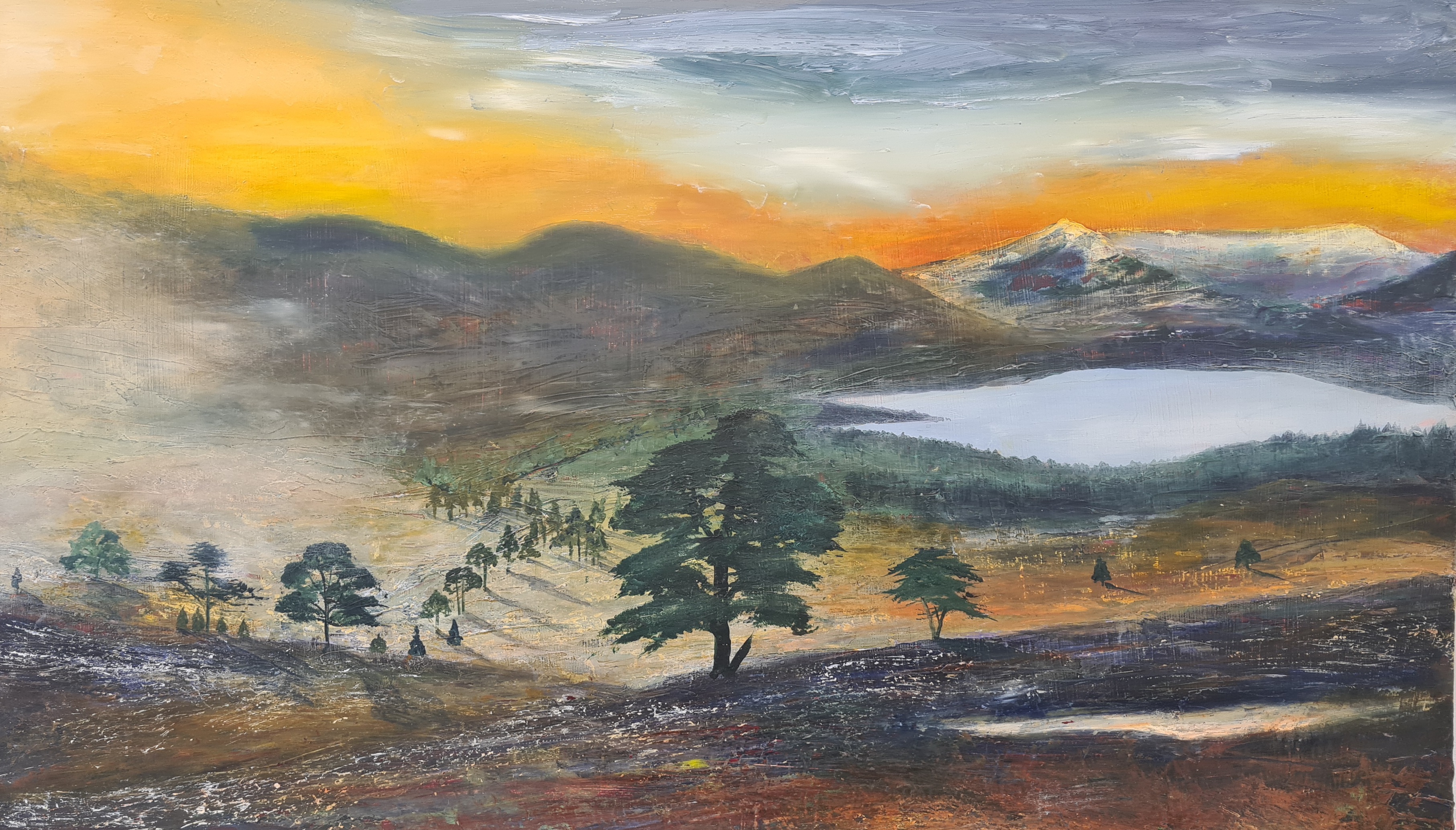 Meall a Bhuchaille Pines above Loch Morlich