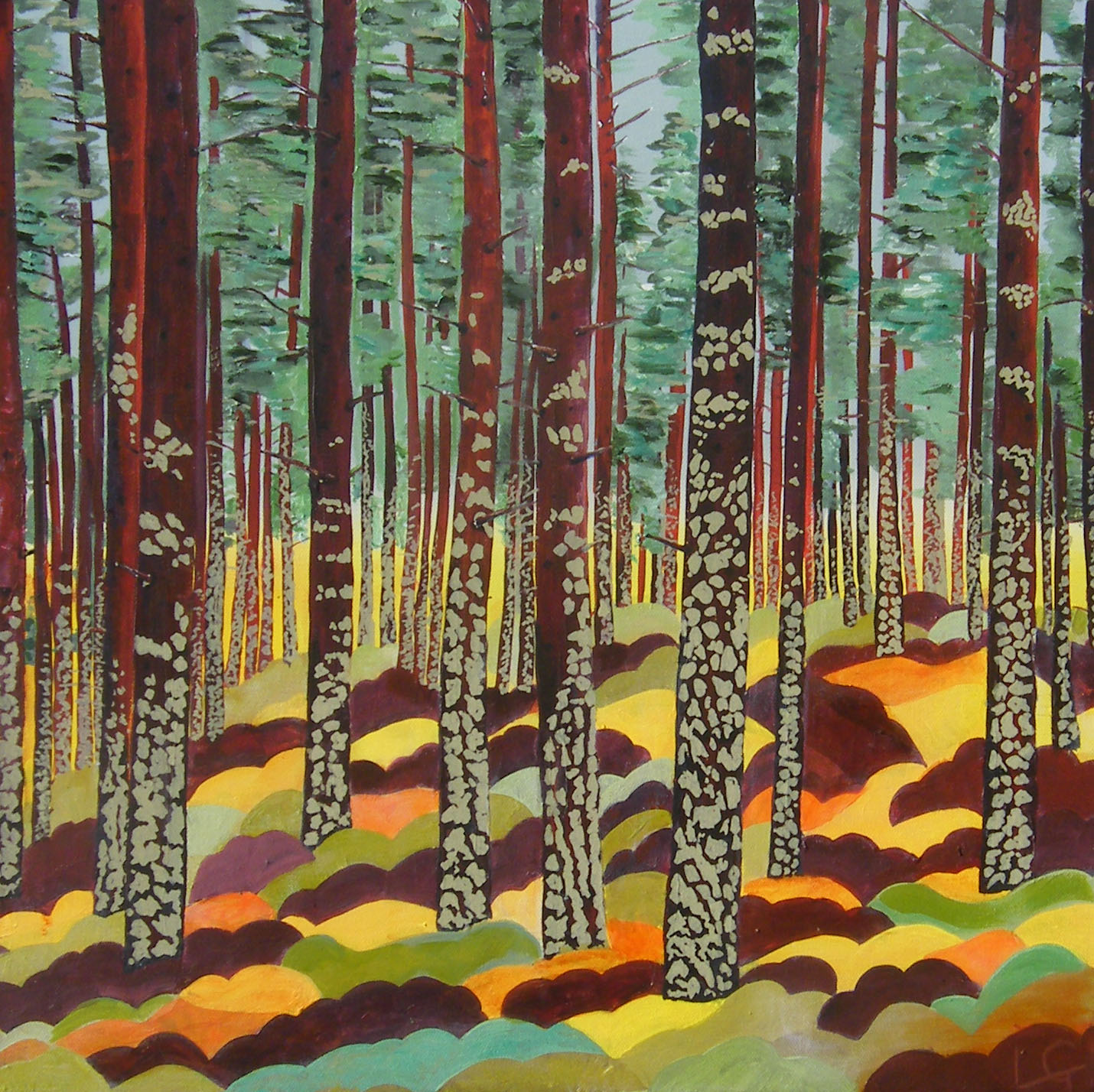 Sanctuary - Pines After Rain - Darnaway