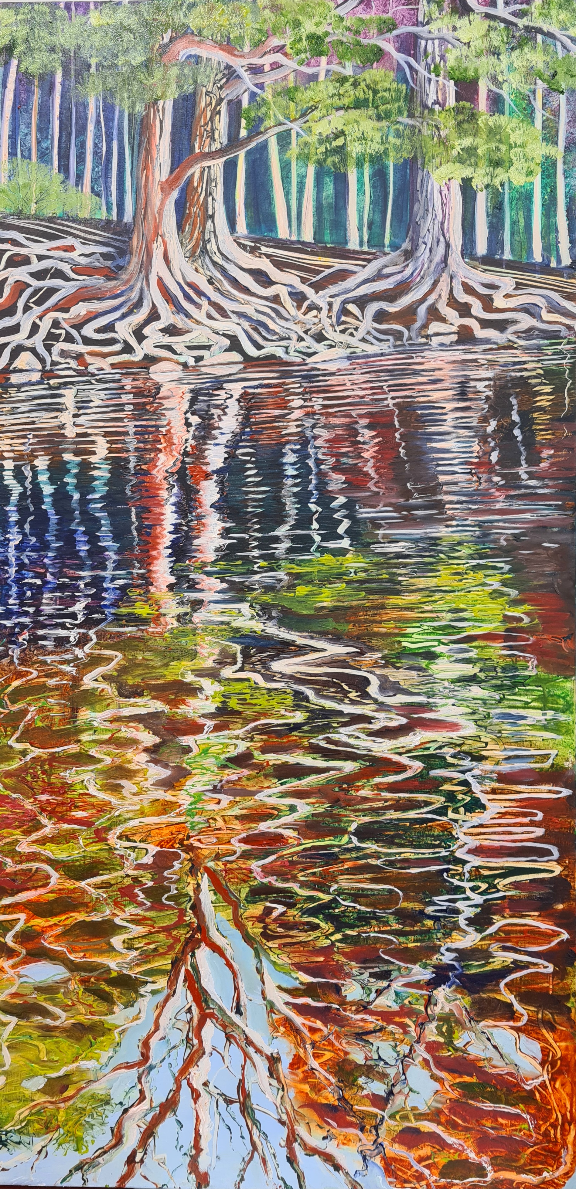 Rooted and Reflected - Pines - Loch an Eilean