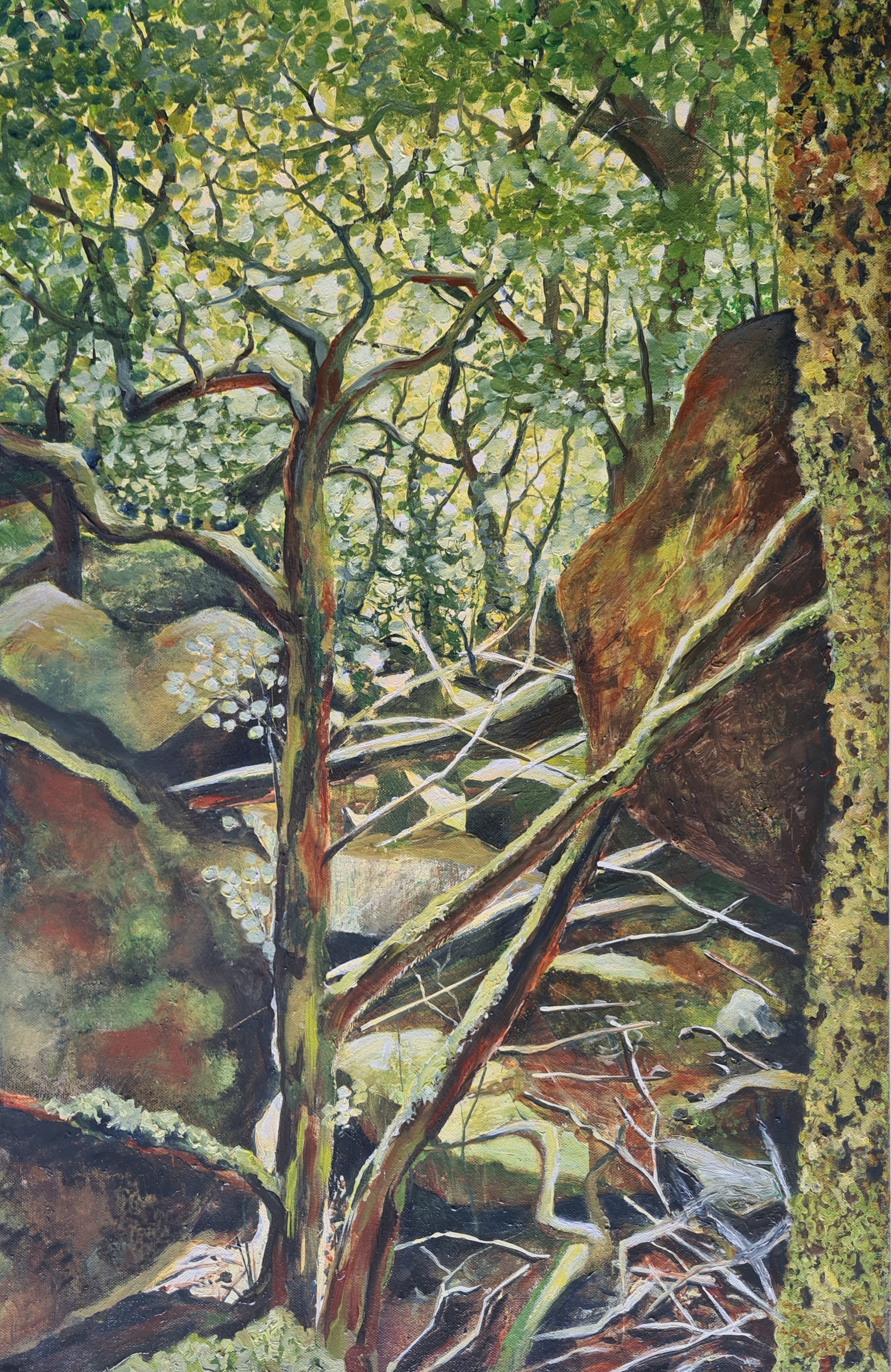 Coastal Gorge Of Sunlit Hazel