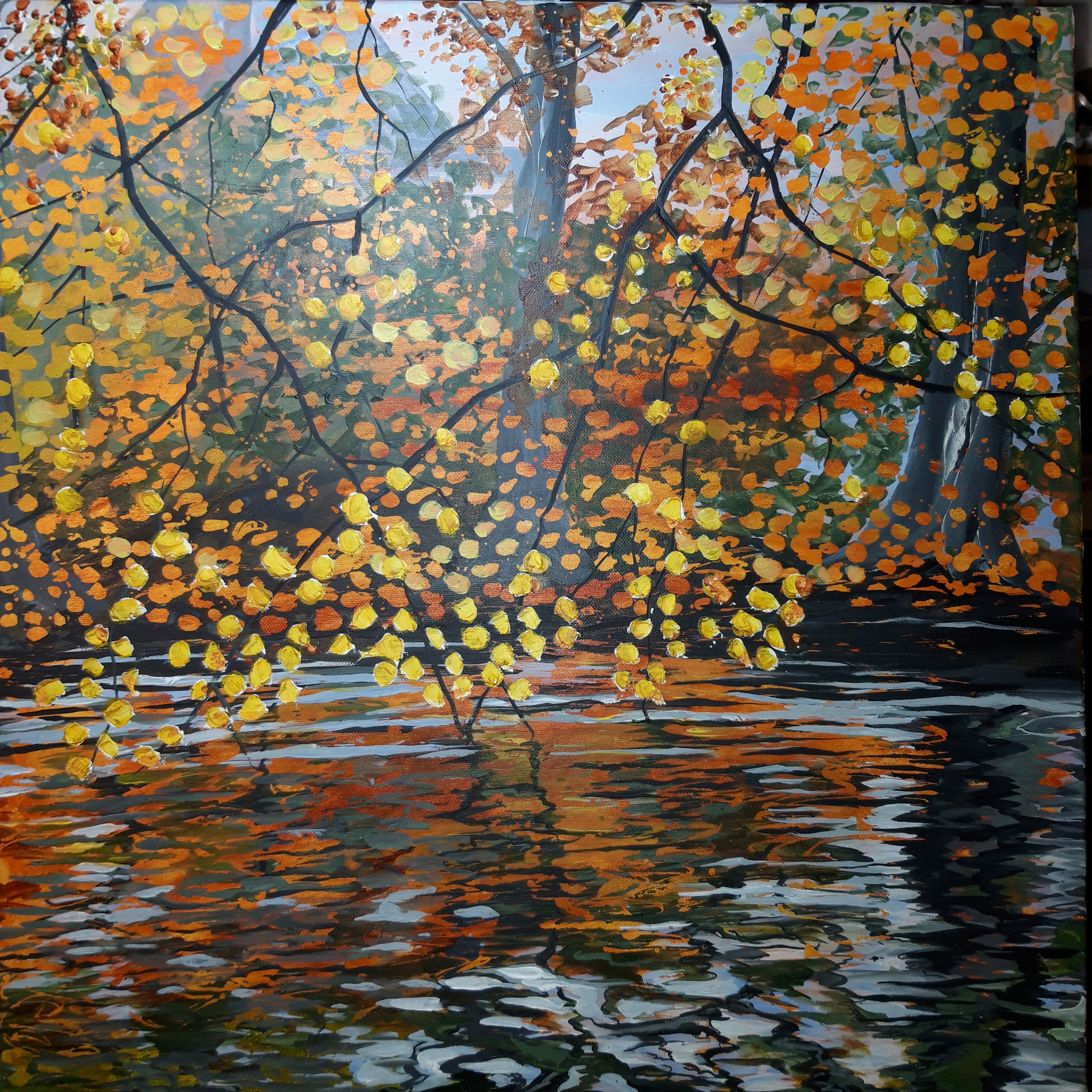 Reflected Beech I - River Ness Islands - Inverness