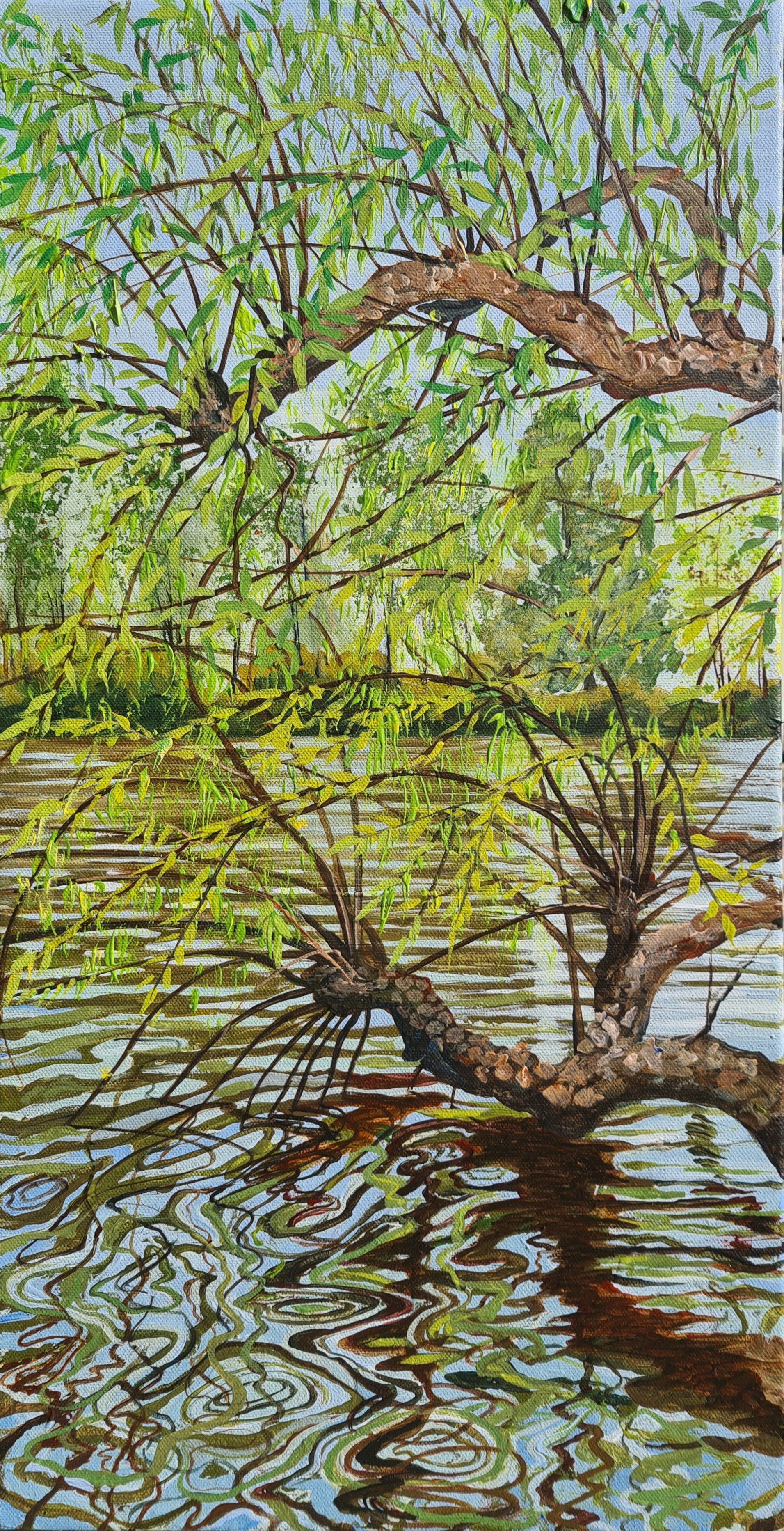 Willow at the Equinox - Breaking Leaf