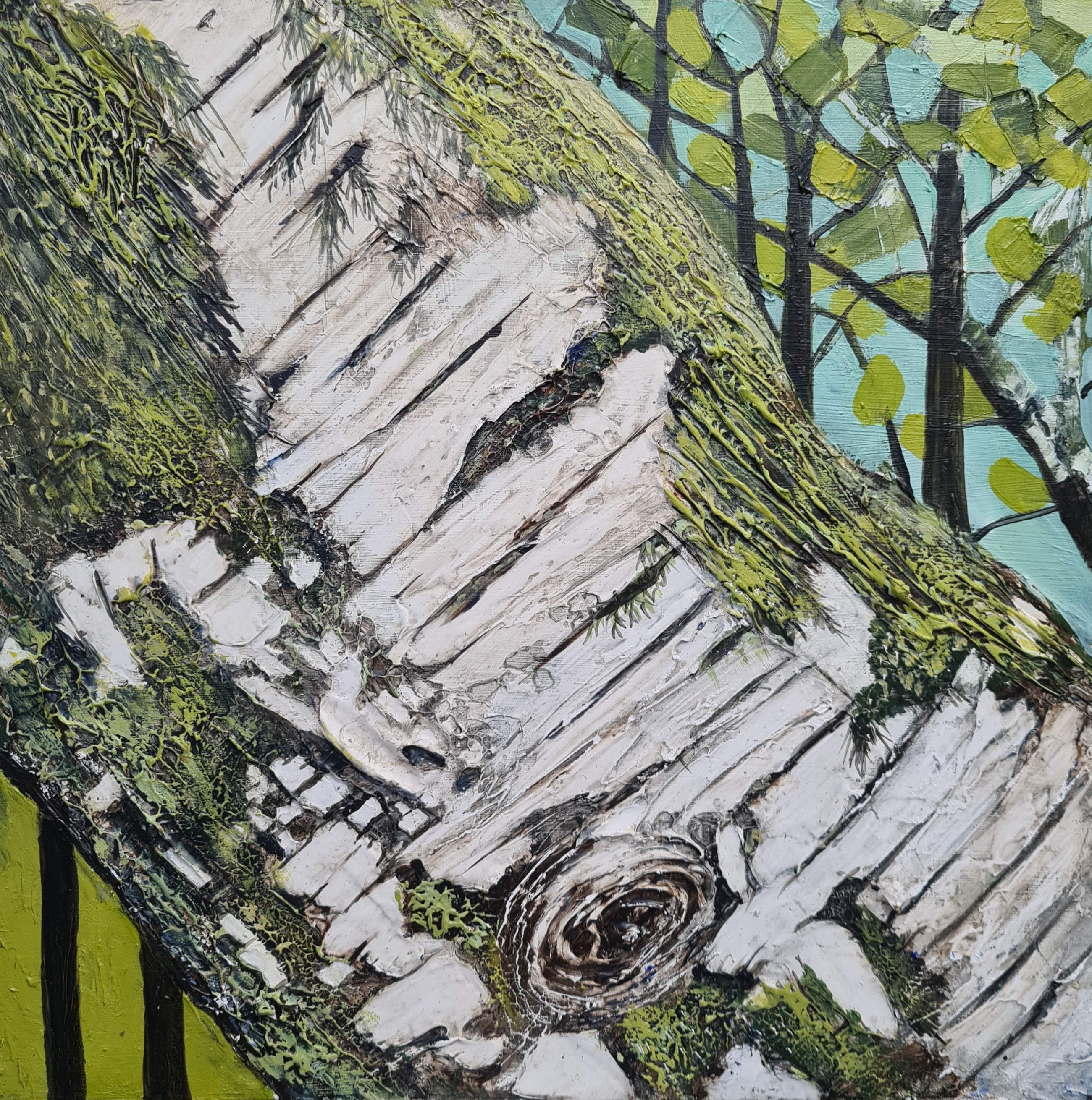 Thumbnail image for gallery Bark