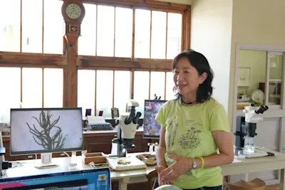 Discover a Treasure Trove of Rare Moss at the Hattori Botanical Laboratory and Inohae Valley