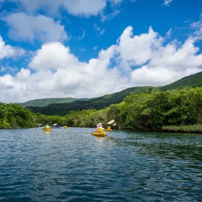 Kayakking,Cycling：A journey to experience the rich climate and lifestyle of the World Natural Heritage Site Amami-Oshima, nurtured by the "Kuro-shio″ 