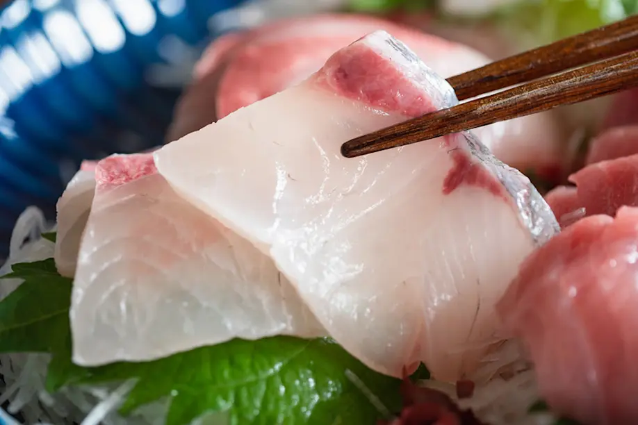 Kinko Bay's Kanpachi: Fresh, Mineral-Rich Premium Fish from Kagoshima ...