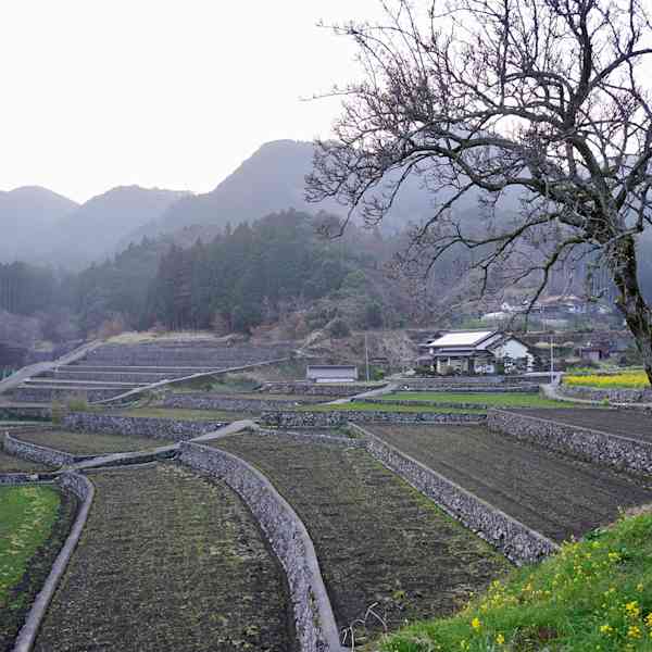 Journey into the Countryside and Pottery of Northern Kyushu Visit Kyushu