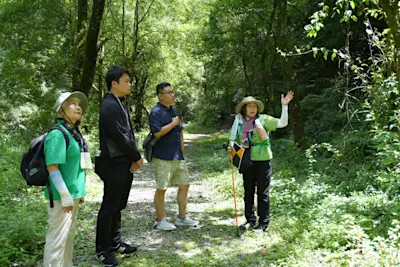Forest Walk & Peeking into the Miniature World of Moss – "Inohae Valley" Forest Therapy Experience