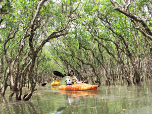 Amami Oshima Canoe/Kayak: