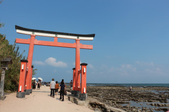 Aoshima Shrine: