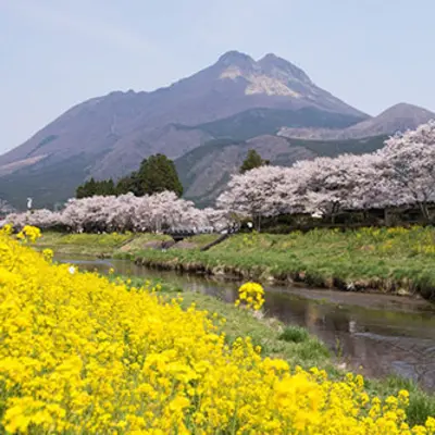 [Taxi sightseeing to and from Beppu] Yufuin round trip course