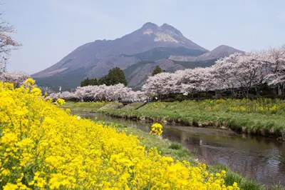 [Taxi sightseeing to and from Beppu] Yufuin round trip course