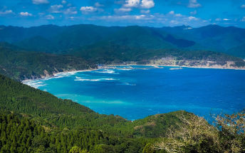 Cape Toi in Miyazaki:A Festival of Colors