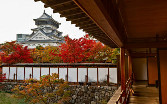 Kitakyushu Highlights:Kokura Castle and Kawachi Wisteria Garden