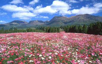 Kuju Flower Park: