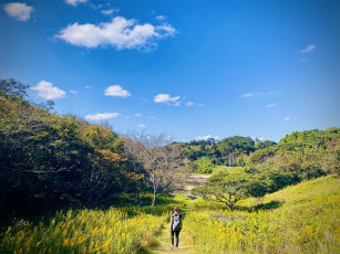 Kyushu OLLE:Karatsu Course Trekking Through Saga’s Rich History and Culture