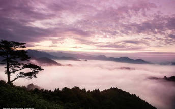 Miyazaki:A nature-rich prefecture just waiting to be discovered