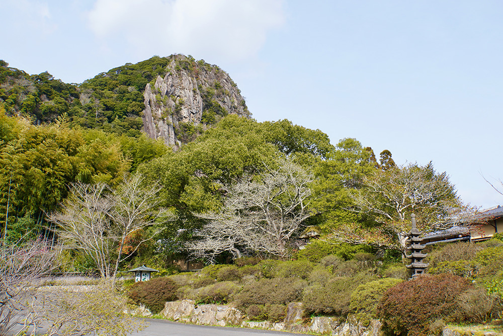 tomoyukaku0901ページ　ラウンド　25×35 3セット Mifuneyama Rakuen | Kyushu Tourism Organization | Visit Kyushu