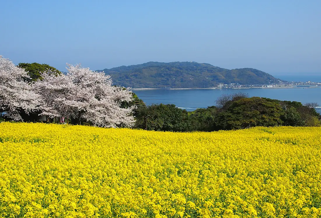 Nokonoshima Island park | Kyushu Tourism Organization | Visit Kyushu