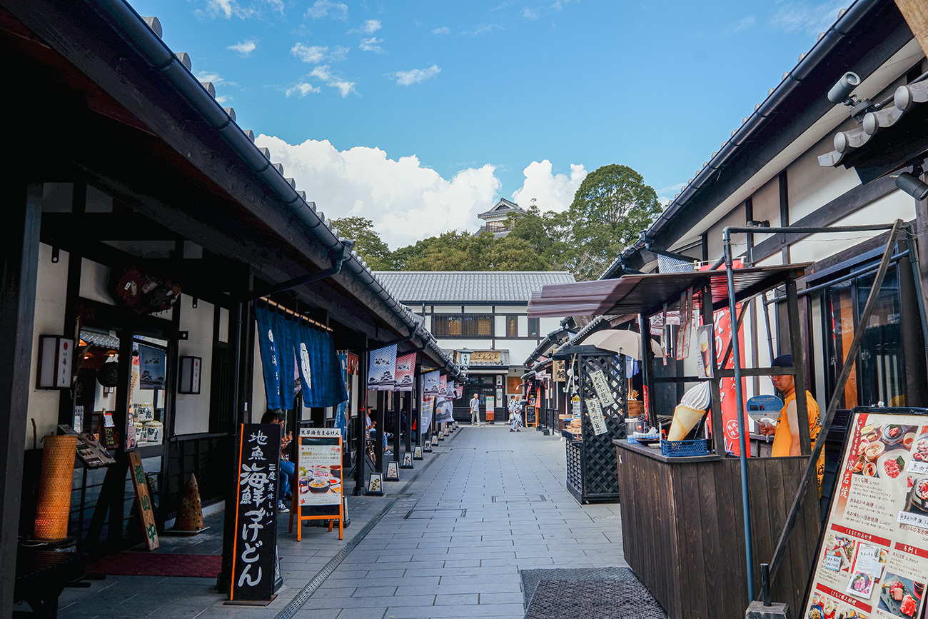 櫻の園 Nijuisseiki-no-Mori Park (21st Century Forest Park