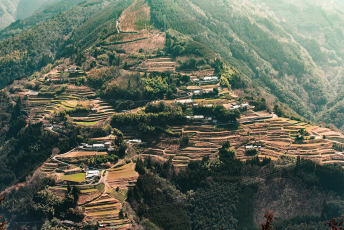 Shiiba Village: