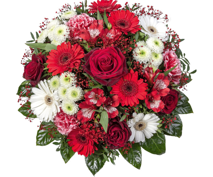 Rote Rosen sind die Königinnen unter der Blumen. Im Kontrast mit weißen Germini überbringen sie ein Feuerwerk der Gefühle.