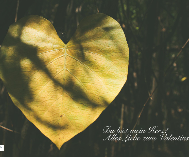 Drücke mit diesem wild-romantischen Valentinstags-Bild deine Liebe aus