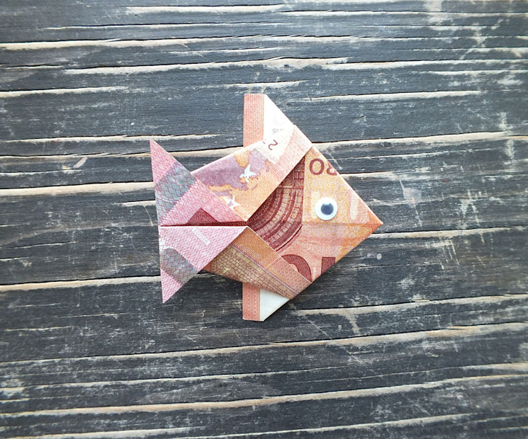 Fisch aus Geldscheinen falten Schritt für Schritt