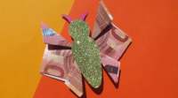 Geldgeschenk Schmetterling Faltanleitung Mit Bildern Auf