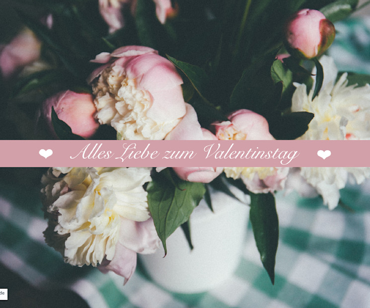 Diese Pfingstrosen sind ein sehr schönes Valentinstags-Bild für Blumen-Liebhaberinnen