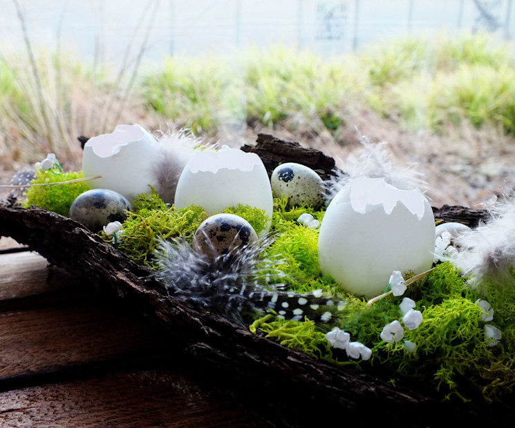 Ostern runterladen bilder zum Ostergrüße kostenlos