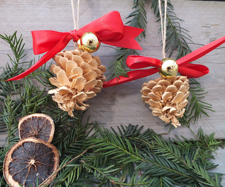 Mit ein wenig Geschenkband werden schlichte Tannenzapfen zu hübschem Weihnachtsbaumschmuck