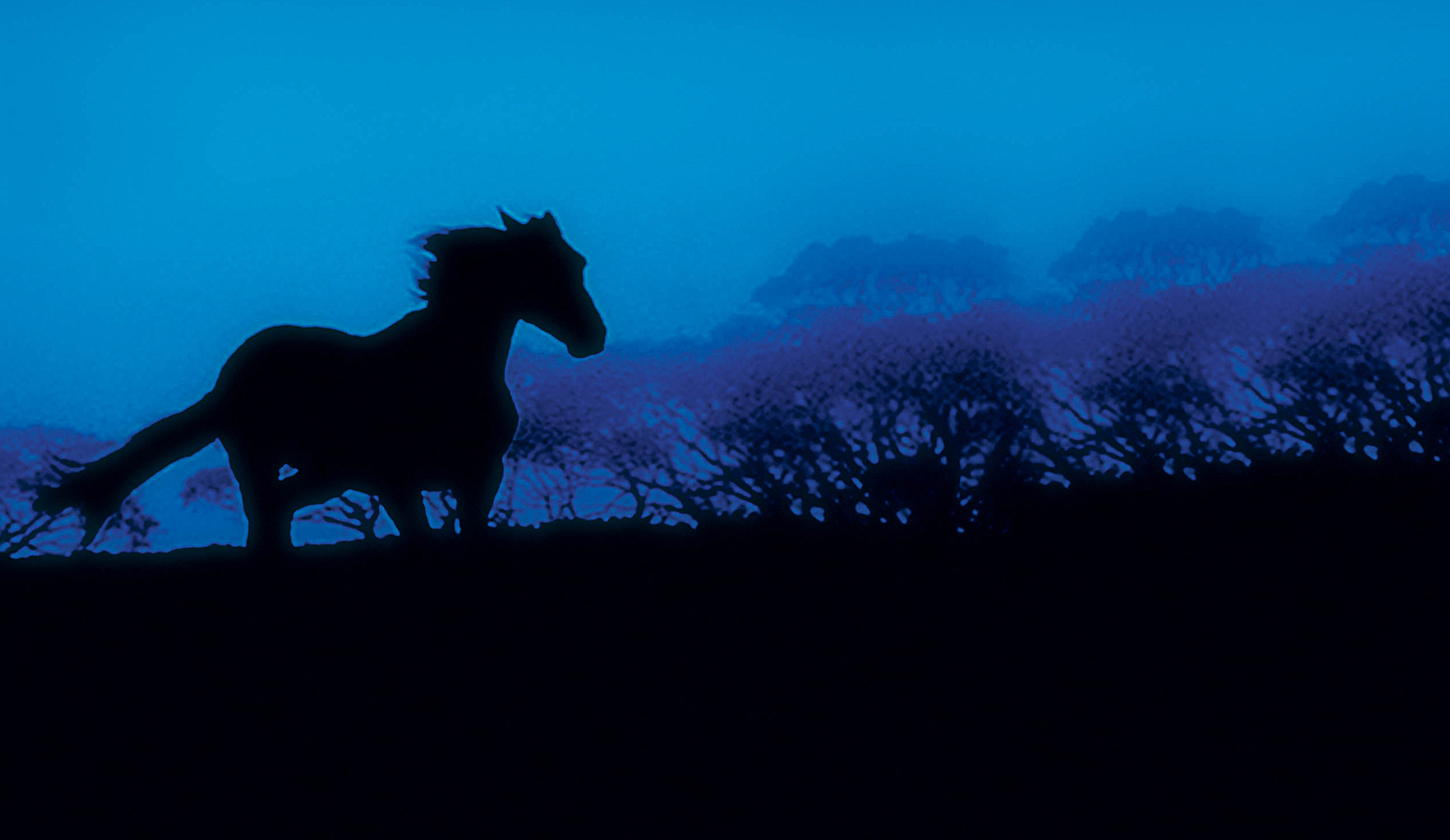Horses: The Story Of Equus (2002) Movie Tickets & Showtimes Near
