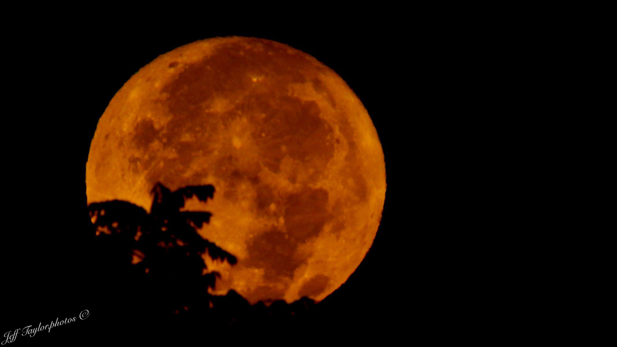 harvesting on a full moon