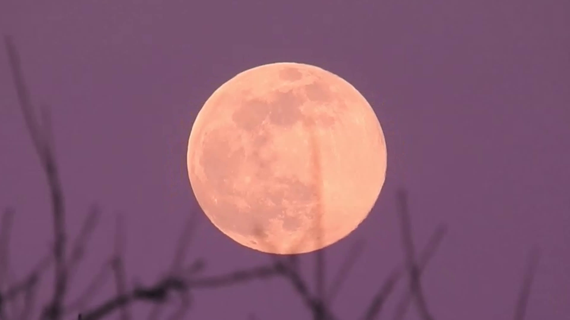 Look up this week to see April's Full Pink Moon shine in the sky The