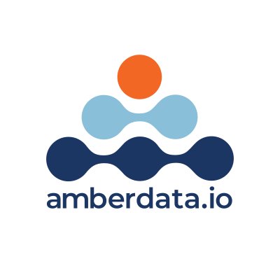 AmberData Logo