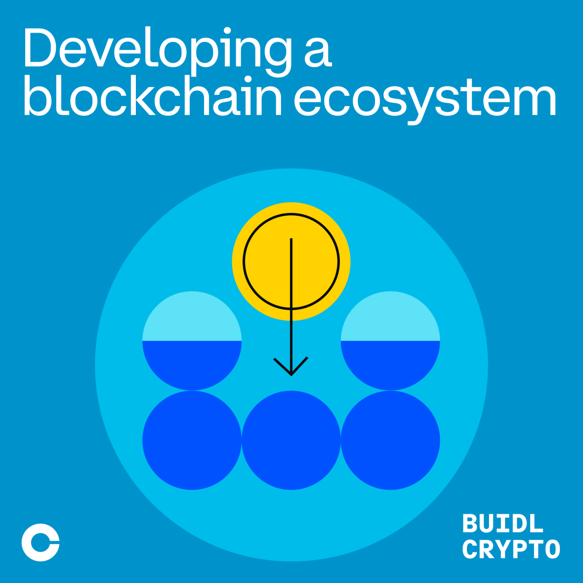 Developing a blochain ecosystem - Square.png