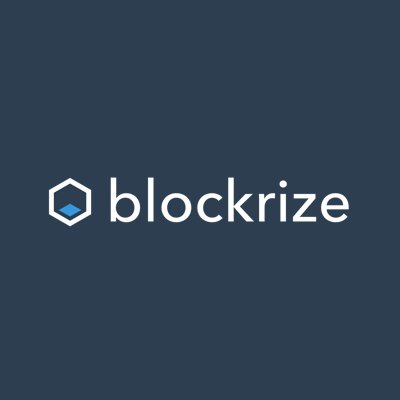 Logo Blockrize