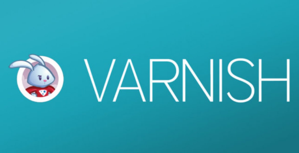 Varnish 6 Nueva versión del acelerador Aplyca