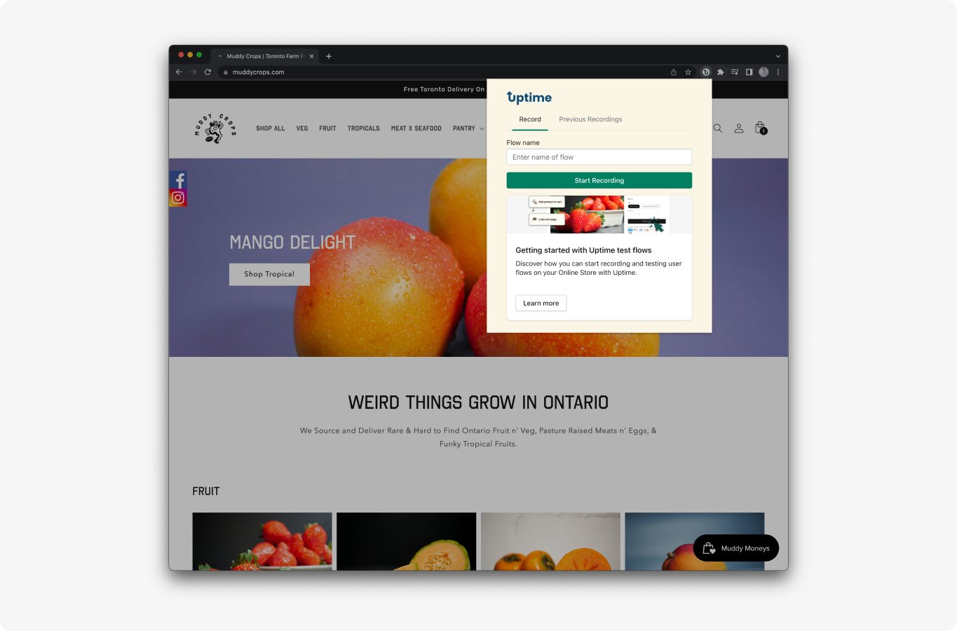 Blog single