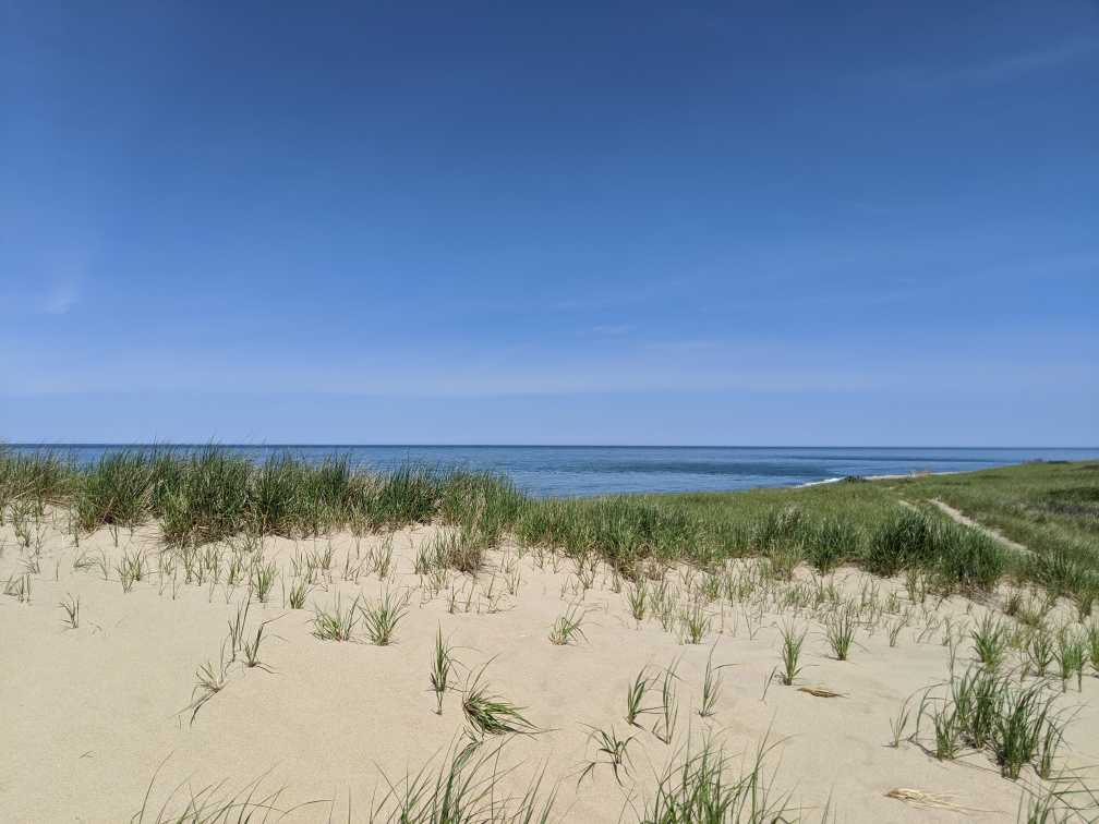 White dunes against a blue sky. Bits of green beach grass spot the dunes.