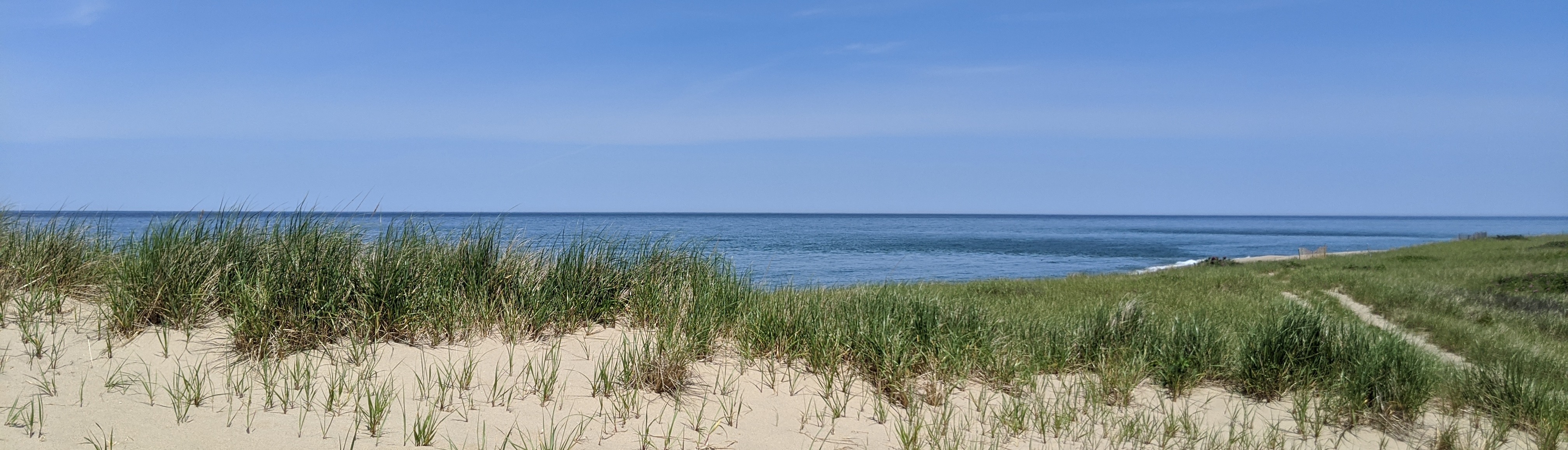 Bright blue sky in the background and white beach dunes with green grass in the foreground.