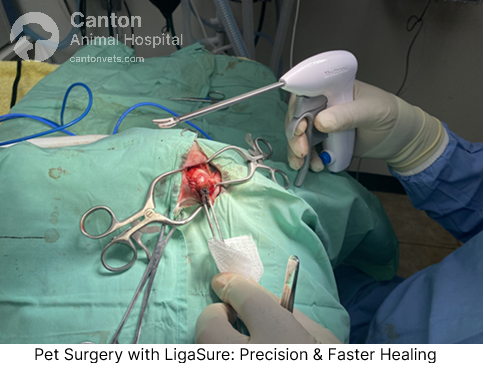 Veterinary surgeon using LigaSure vessel sealing technology for precise, bloodless pet surgery at Canton Animal Hospital, ensuring faster healing and safety.